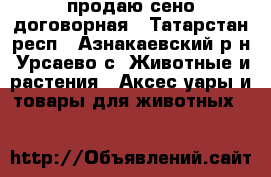 продаю сено договорная - Татарстан респ., Азнакаевский р-н, Урсаево с. Животные и растения » Аксесcуары и товары для животных   
